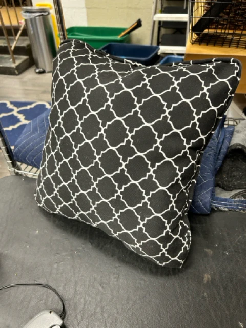 BLACK WHITE OUTDOOR PILLOW
