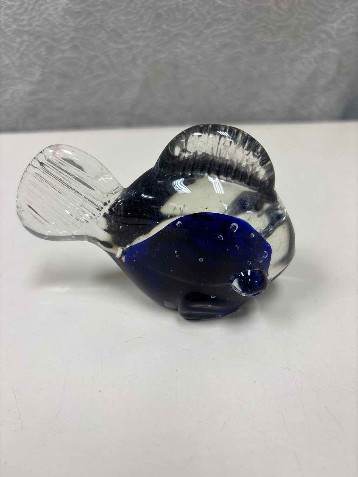 BLUE GLASS FISH