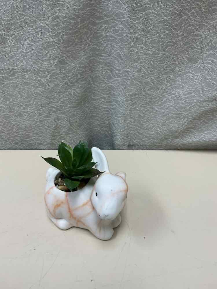 BUNNY W/FAUX PLANT