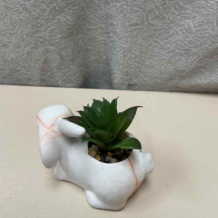 BUNNY W/FAUX PLANT - Image 3