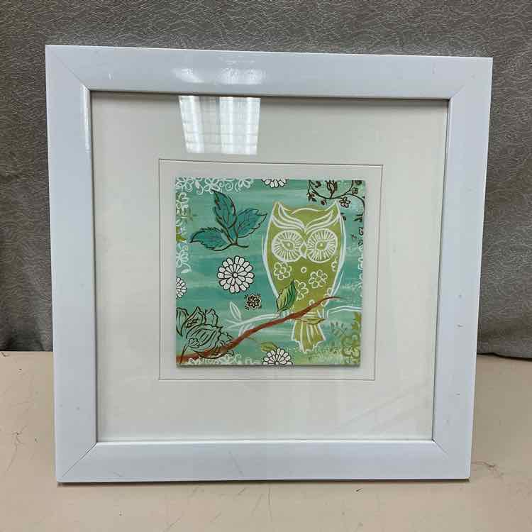 GREEN OWL PICTURE