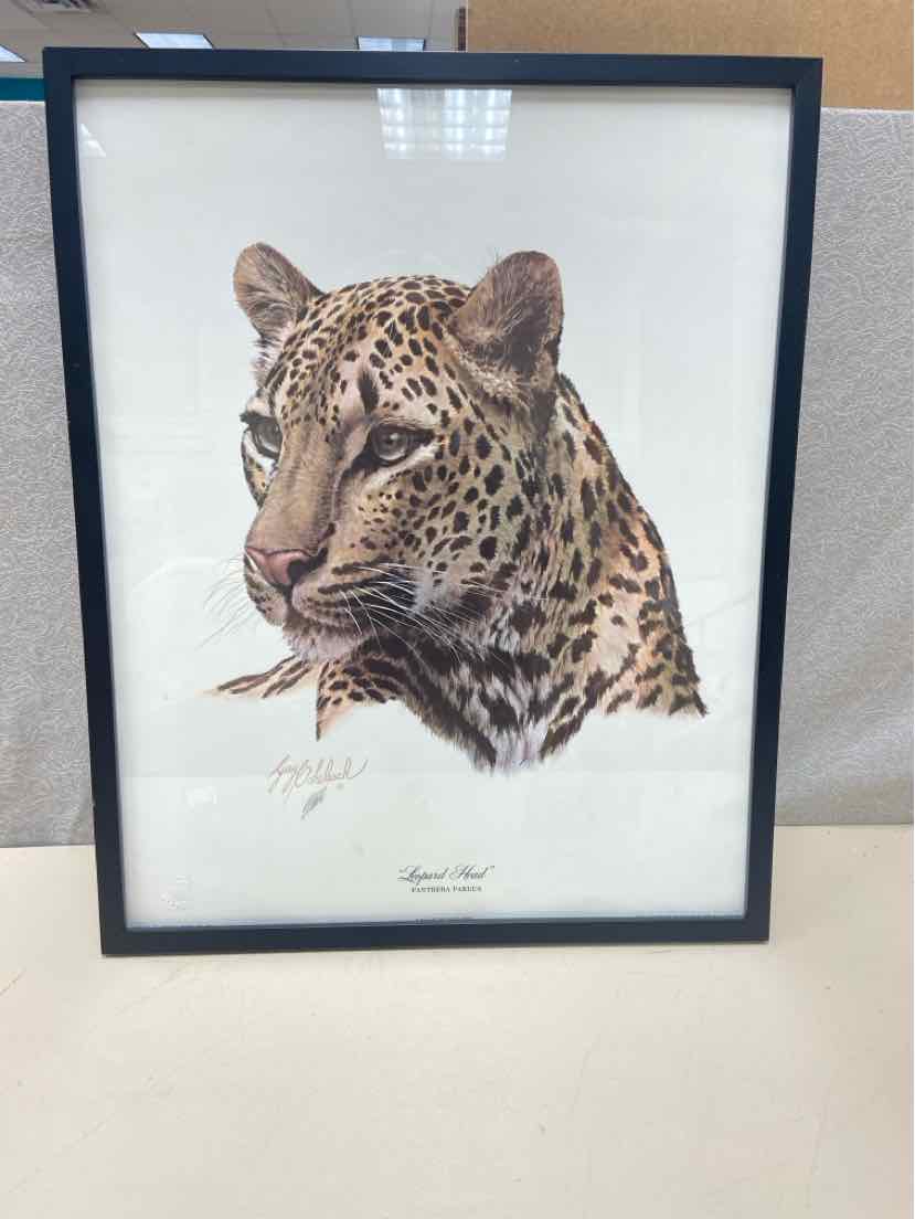 LEOPARD FACE PIC