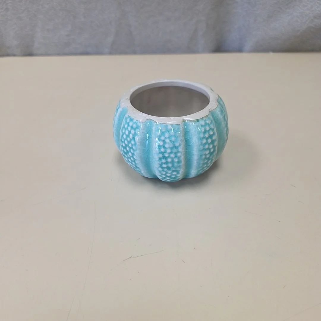 SEA URCHIN PLANTER