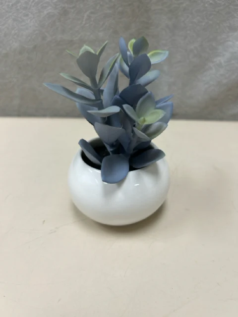 SMALL SUCCULENT W/WHITE VASE