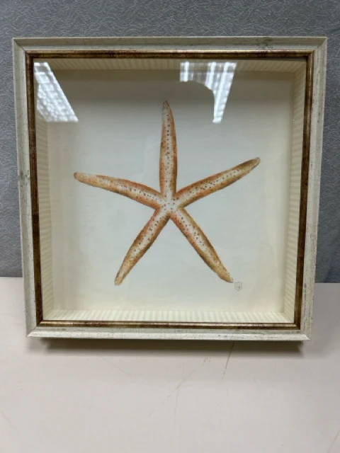 STARFISH SHADOWBOX STYLE ART