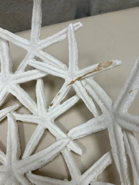 WHITE STARFISH MADE BOWL - Image 2