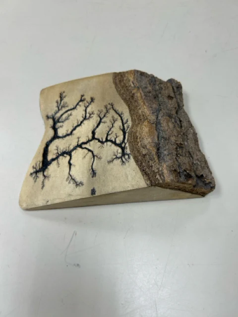 WOOD CARVED DESIGN IN TREE BARK HANGING